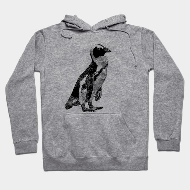 Penguin Hoodie by Guardi